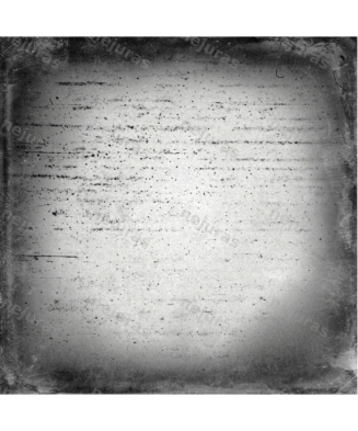 Medium format film frame