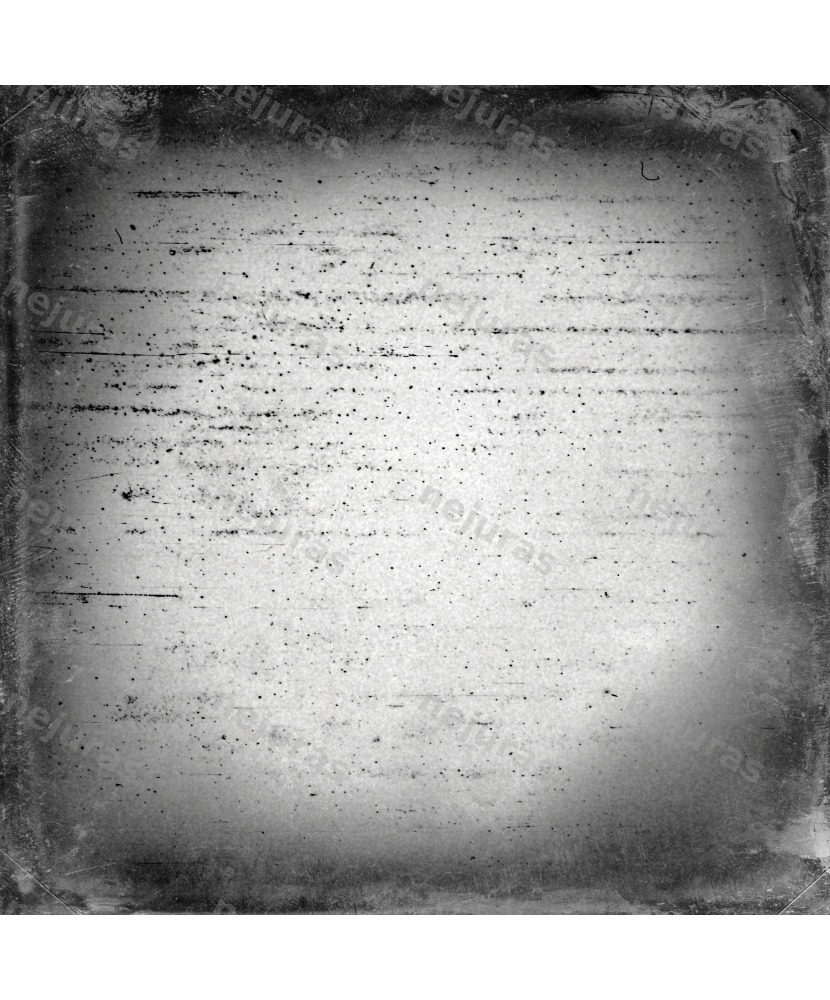 Medium format film frame